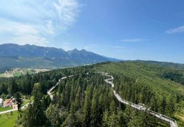 Ósmoklasiści odkrywają moc obrazu