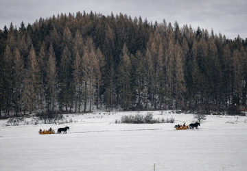 Kulig przedszkolaków 2026