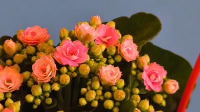 IMG_20251014_091358.jpg